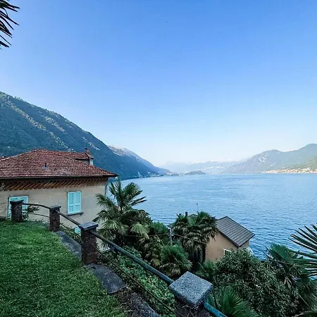 Limone - * آرجينيو